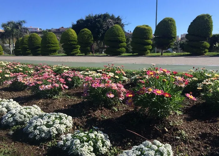 מלון Apartamento Primavera